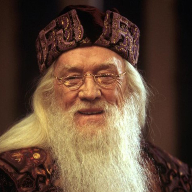 アルバス・ダンブルドア | ハリー・ポッター | ワーナー